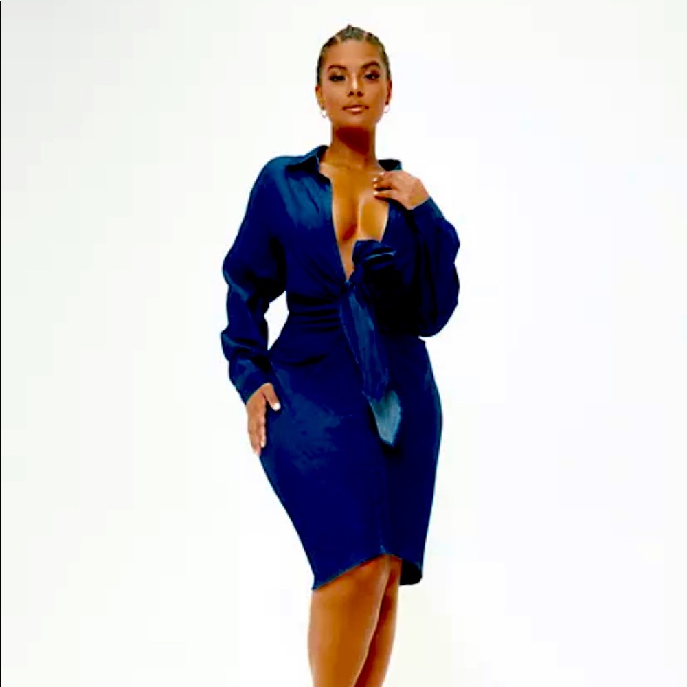 Denim Plus size Dress